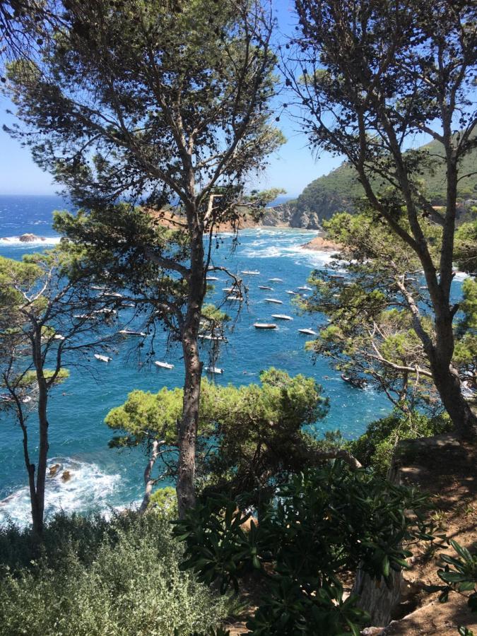 דירות Cap Sa Sal Navy, Begur, Girona מראה חיצוני תמונה